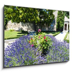 Sklenn obraz 1D - 100 x 70 cm F_E53384066 - garden in Les Baux de-Provence, Provence, France - zahrada v Les Baux de