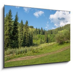 Obraz   Nature of green trees, road on Medeo, Kazakhstan, 100 x 70 cm