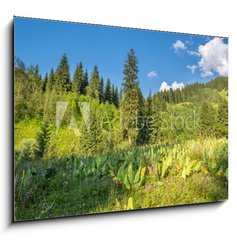 Obraz   Nature of green trees and blue sky, near Medeo in Kazakhstan, 100 x 70 cm