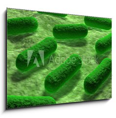Sklenn obraz 1D - 100 x 70 cm F_E53968782 - E coli Bacteria. - Bakterie E coli.