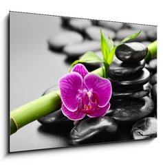 Obraz 1D - 100 x 70 cm F_E56279364 - orchid