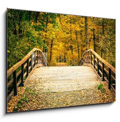 Obraz 1D - 100 x 70 cm F_E57169928 - Bridge in autumn park