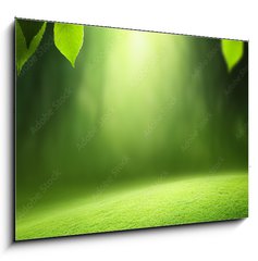 Sklenn obraz 1D - 100 x 70 cm F_E57381095 - Spring forest  background - Jarn lesn pozad