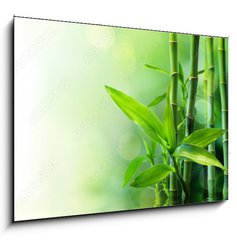 Obraz 1D - 100 x 70 cm F_E58926337 - bamboo stalks on water