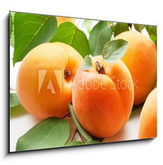 Sklenn obraz 1D - 100 x 70 cm F_E59284348 - Fresh apricots - erstv meruky