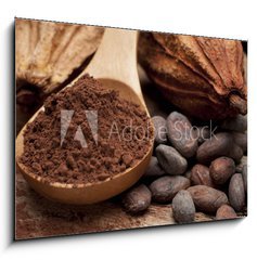 Obraz   cocoa, 100 x 70 cm