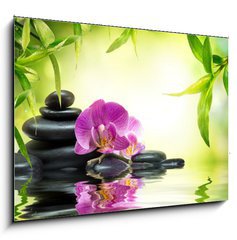 Obraz   alternative massage in bamboo garden on water, 100 x 70 cm