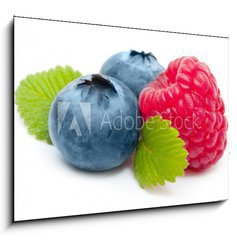 Obraz 1D - 100 x 70 cm F_E60008014 - Raspberry and blueberry isolated on white background