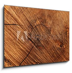 Obraz 1D - 100 x 70 cm F_E60558445 - Wooden background