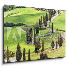 Obraz   Road with curves and cypresses in Tuscany, Italy, 100 x 70 cm