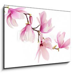 Sklenn obraz 1D - 100 x 70 cm F_E61798470 - Pink spring magnolia flowers branch