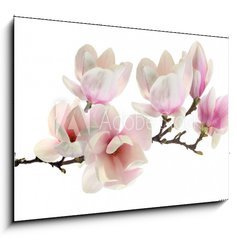 Sklenn obraz 1D - 100 x 70 cm F_E61937427 - spring