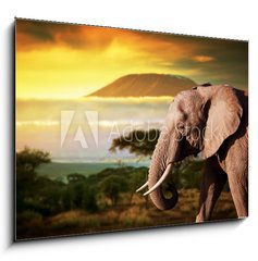 Sklenn obraz 1D - 100 x 70 cm F_E62334614 - Elephant on savanna. Mount Kilimanjaro at sunset. Safari