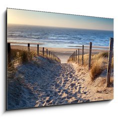 Obraz   path to North sea beach in gold sunshine, 100 x 70 cm
