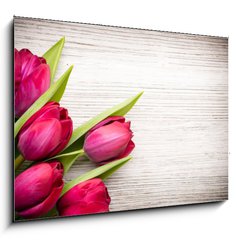 Obraz 1D - 100 x 70 cm F_E62462522 - Tulip.