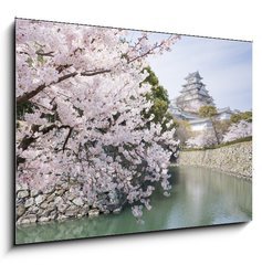 Sklenn obraz 1D - 100 x 70 cm F_E62623940 - Japanese cherry blossoms and castle in spring - Japonsk teov kvty a hrad na jae