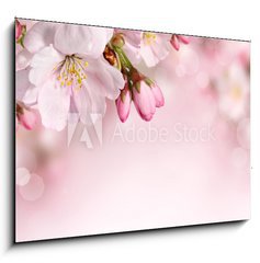 Obraz 1D - 100 x 70 cm F_E62918390 - Spring flowers background with pink blossom