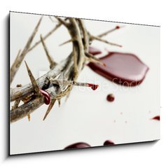 Obraz   Drops of Blood, 100 x 70 cm