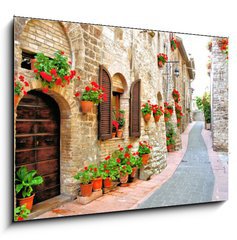 Obraz 1D - 100 x 70 cm F_E63262540 - Picturesque lane with flowers in an Italian hill town