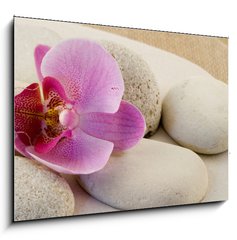 Sklenn obraz 1D - 100 x 70 cm F_E6339584 - Orchidee mit Kieseln