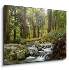 Obraz 1D - 100 x 70 cm F_E64308418 - forest waterfall