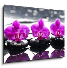 Obraz   Three orchid flower and stones with reflection in water drops, 100 x 70 cm