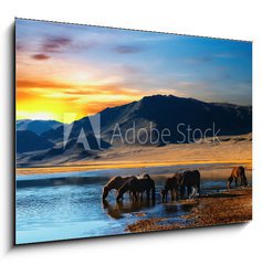 Obraz 1D - 100 x 70 cm F_E6438532 - Herd of horses in mongolian wilderness