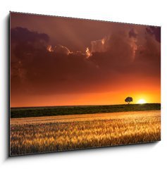 Sklenn obraz 1D - 100 x 70 cm F_E64566534 - Sunset in the agricultural areas - Zpad slunce v zemdlskch oblastech