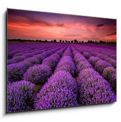 Sklenn obraz 1D - 100 x 70 cm F_E64900250 - Stunning landscape with lavender field at sunset