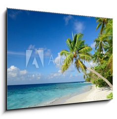 Obraz 1D - 100 x 70 cm F_E64951147 - Strand mit Palmen