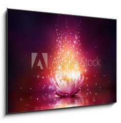 Sklenn obraz 1D - 100 x 70 cm F_E65113816 - magic flower on water - kouzeln kvt na vod