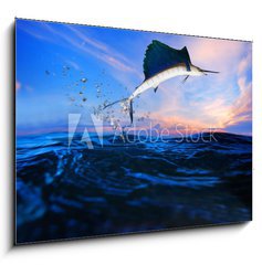 Sklenn obraz 1D - 100 x 70 cm F_E65260791 - sailfish flying over blue sea ocean - plachetnice ltn pes modr mosk ocen