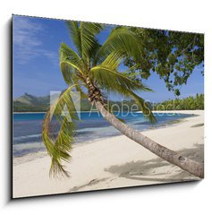 Sklenn obraz 1D - 100 x 70 cm F_E65416367 - Tropical Paradise - Fiji - South Pacific Ocean - Tropick rj