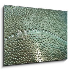 Sklenn obraz 1D - 100 x 70 cm F_E65581429 - waterdrops