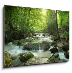 Obraz 1D - 100 x 70 cm F_E65985516 - forest waterfall