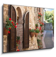 Obraz   Vicolo con fiori, 100 x 70 cm