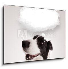 Obraz 1D - 100 x 70 cm F_E66240953 - Cute dog with empty cloud bubble