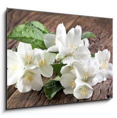 Obraz 1D - 100 x 70 cm F_E66646969 - Jasmine flowers over old wooden table.