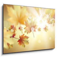 Sklenn obraz 1D - 100 x 70 cm F_E66663515 - Autumn leaves