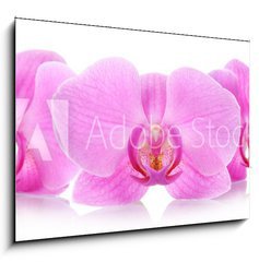 Sklenn obraz 1D - 100 x 70 cm F_E67865693 - The orchid flowers - Kvtiny orchidej