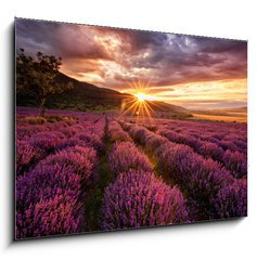Sklenn obraz 1D - 100 x 70 cm F_E68209726 - Stunning landscape with lavender field at sunrise - Ohromujc krajina s levandulem pole pi vchodu slunce