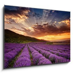 Sklenn obraz 1D - 100 x 70 cm F_E68260251 - Stunning landscape with lavender field at sunrise - Ohromujc krajina s levandulem pole pi vchodu slunce