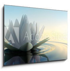 Obraz 1D - 100 x 70 cm F_E68326975 - Lotusblte im See