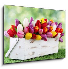Obraz 1D - 100 x 70 cm F_E69344998 - tulips