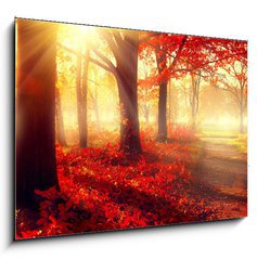 Obraz 1D - 100 x 70 cm F_E69511191 - Fall scene. Beautiful autumnal park in sunlight