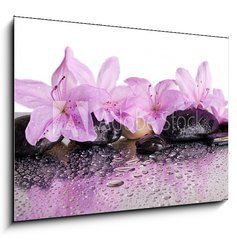 Obraz 1D - 100 x 70 cm F_E70327716 - flowers and black stones with reflection