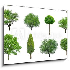 Obraz 1D - 100 x 70 cm F_E70577212 - tree