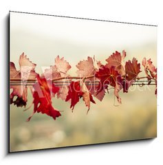Sklenn obraz 1D - 100 x 70 cm F_E70603300 - Foglie di vite in autunno - Foglie di vite v autunn