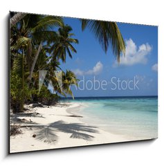 Obraz 1D - 100 x 70 cm F_E71231291 - tropical island palm sea and sky