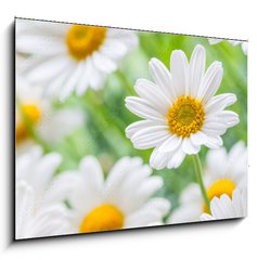 Obraz 1D - 100 x 70 cm F_E71635240 - naure power
